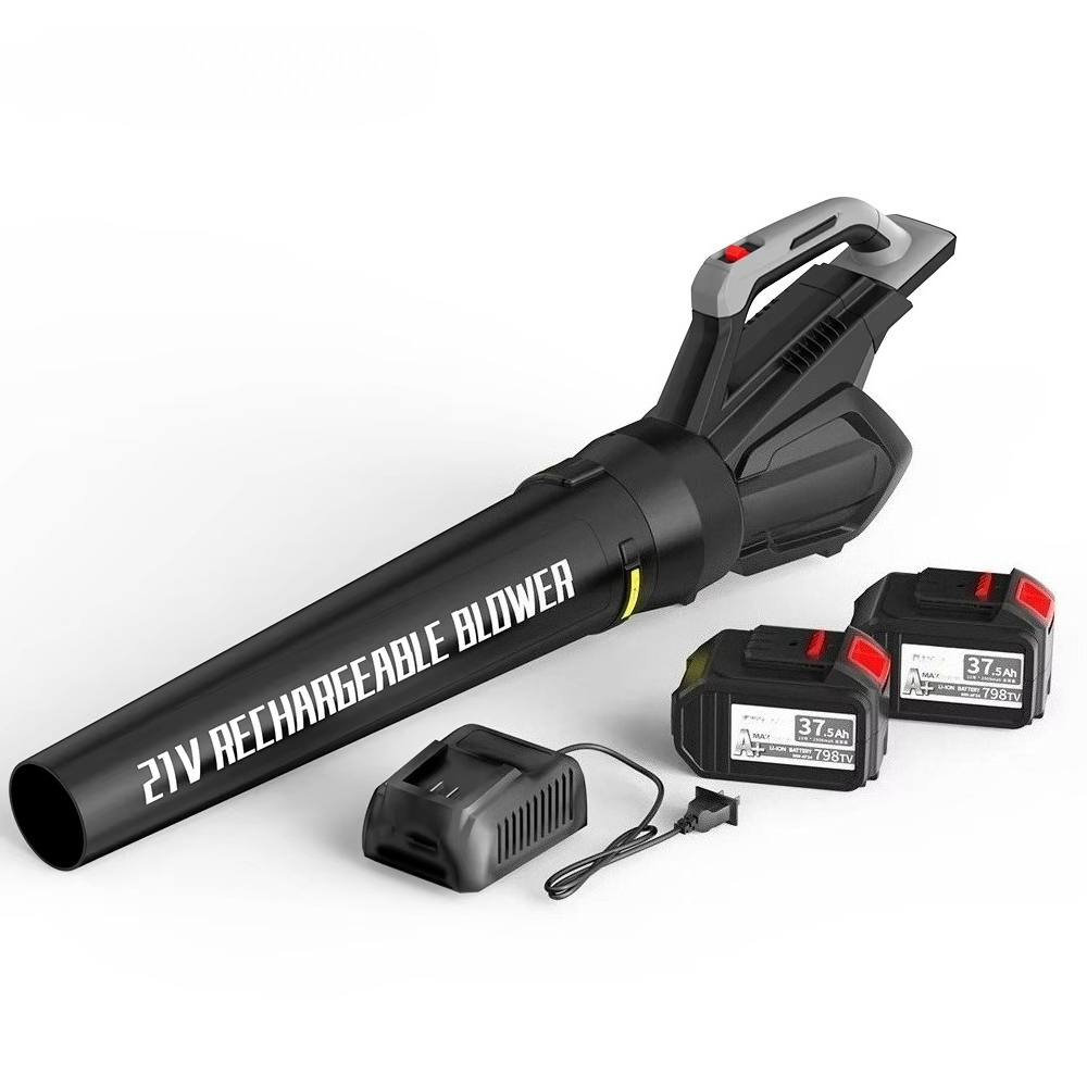 Cordless Leaf Blower with Batt - đánh giá và giá Car Vacuum